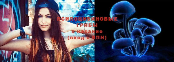 гидропоника Александровское
