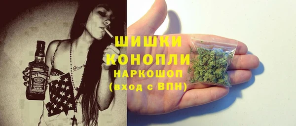 spice Касимов