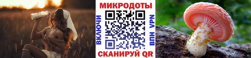 Купить  Саки  Галлюциногенные грибы MAGIC MUSHROOMS 
